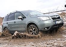 Der neue Subaru Forester. Foto: UnitedPictures/Auto-Reporter.NET